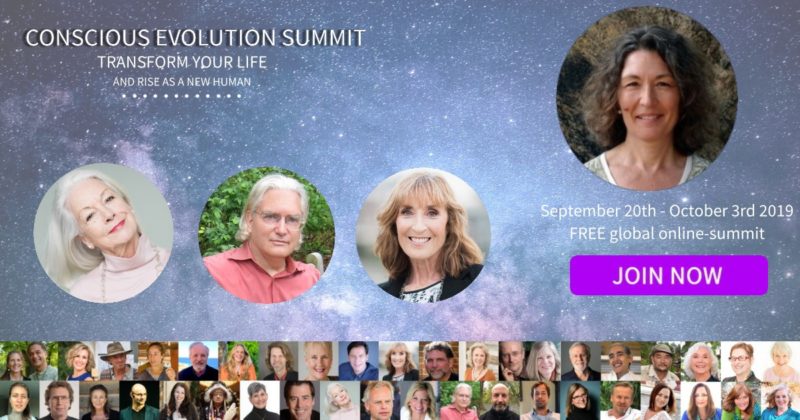 Hier geht's zum kostenlosen Conscious Evolution Summit (english)