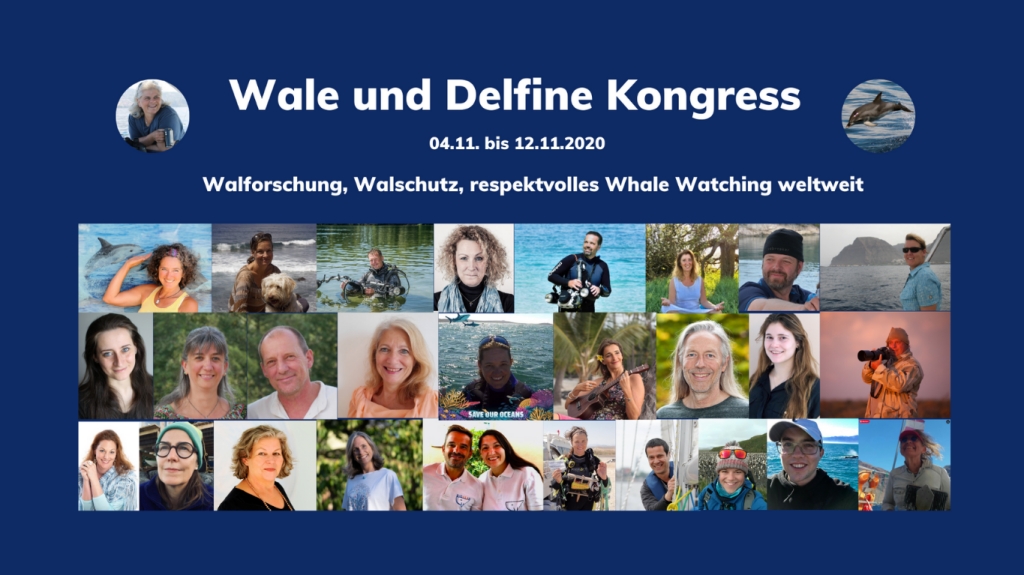 Hier geht's zum kostenlosen Wale und Delfine Kongress