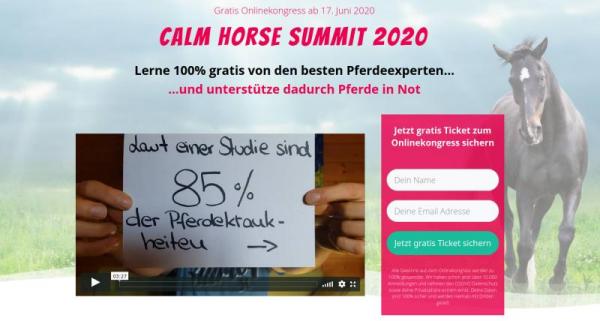 Hier geht's zum kostenlosen Calm Horse Summit 2020