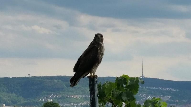 Meine Freiheit beginnt mit meiner Erlaubnis